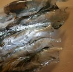 ��������� ������