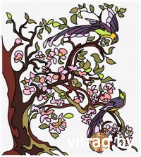 ��������� ���� ��� ������ ����