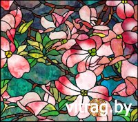 ������ ��� �������