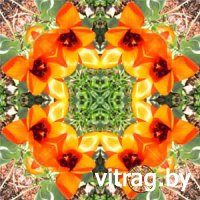 ������������� ������������