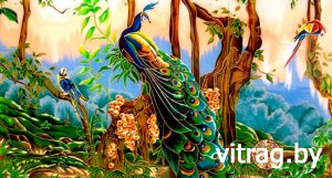 �������: ���������� ������������