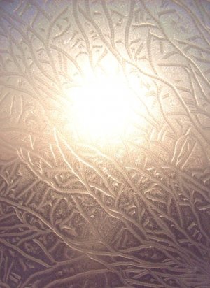 ������ �����