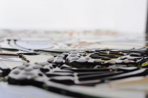 ��������� �� ���� �� �������